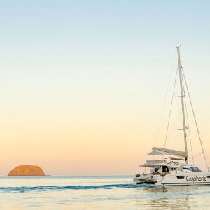 Endevour Catamaran - Half Day Sail